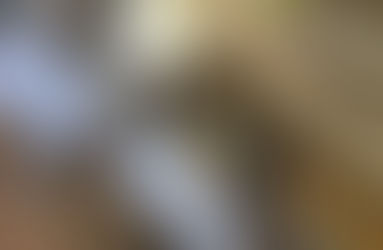 定期演奏会まで残り2日です