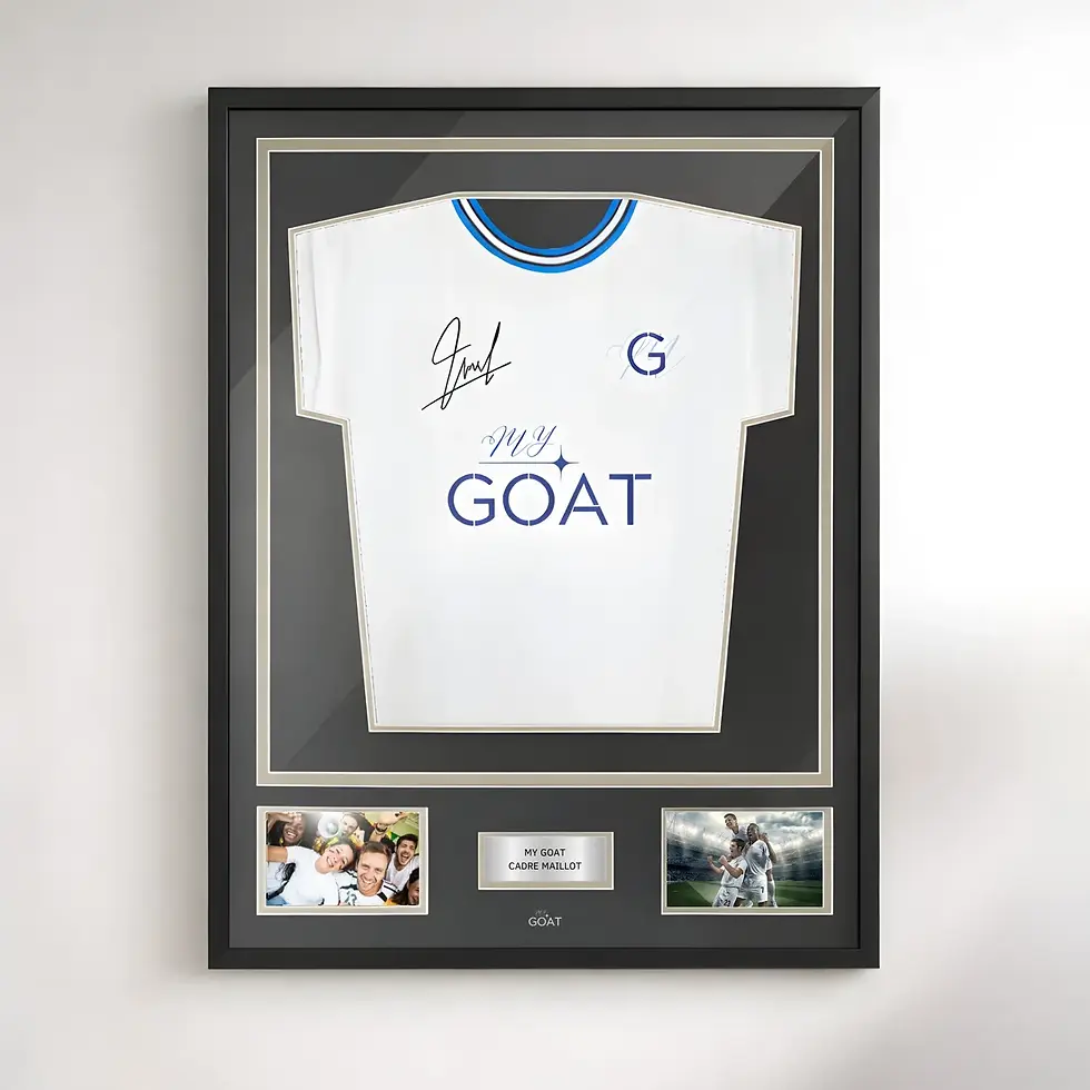 Trikotrahmen standard My Goat