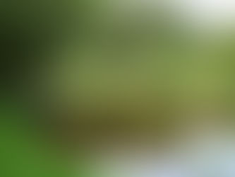 Weg der Entschleunigung 3.Etappe