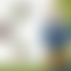 10 Common Problems Handyman Services Can Easily Fix