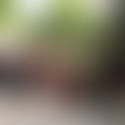 Bastille en Jeux : une première édition réussie !