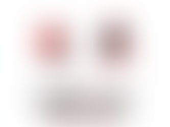 GOVERNMENT vs PRIVATE DIPLOMA COLLEGES: Which Should You Choose?