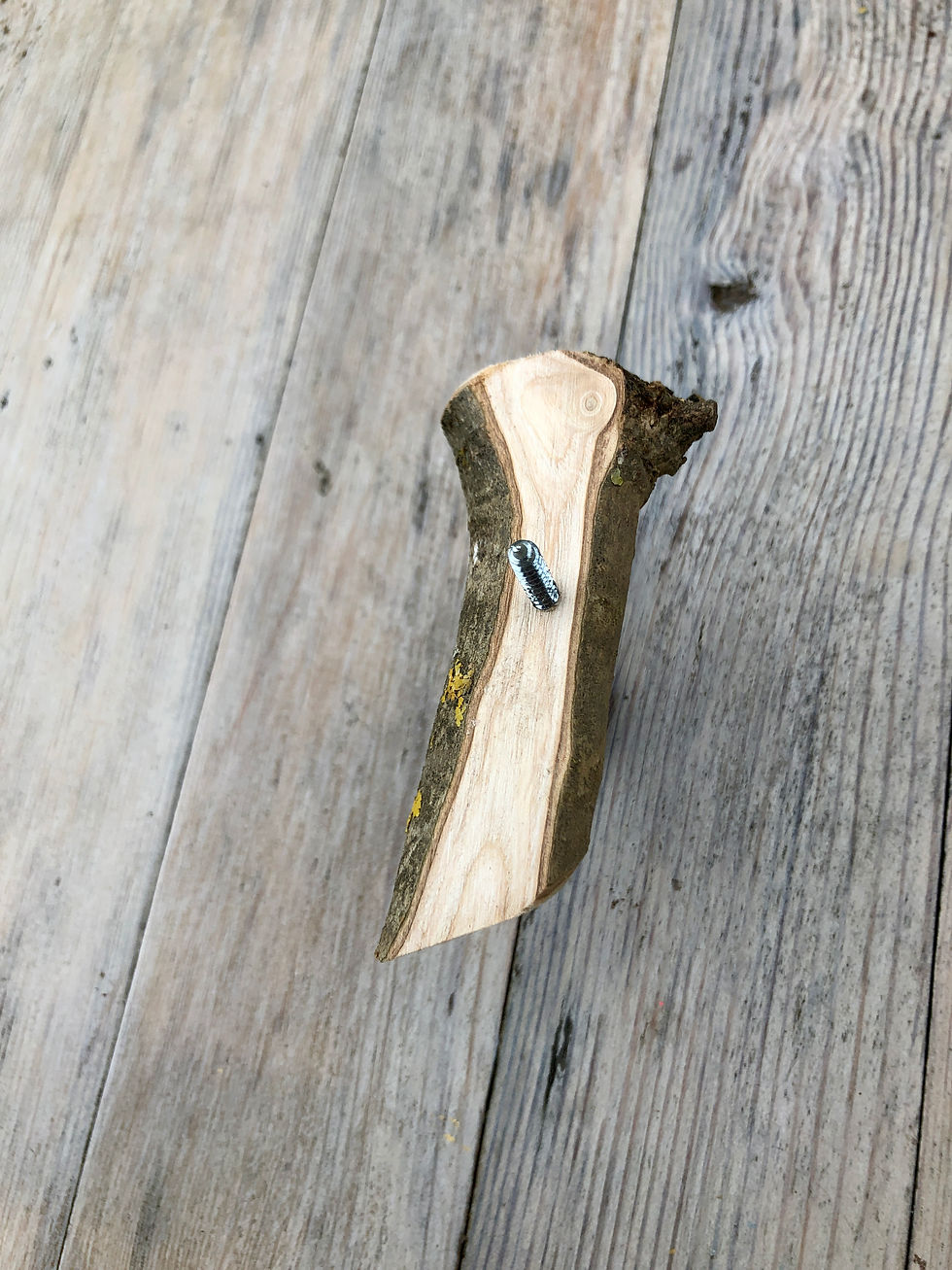 Thumbnail: Branch Hook