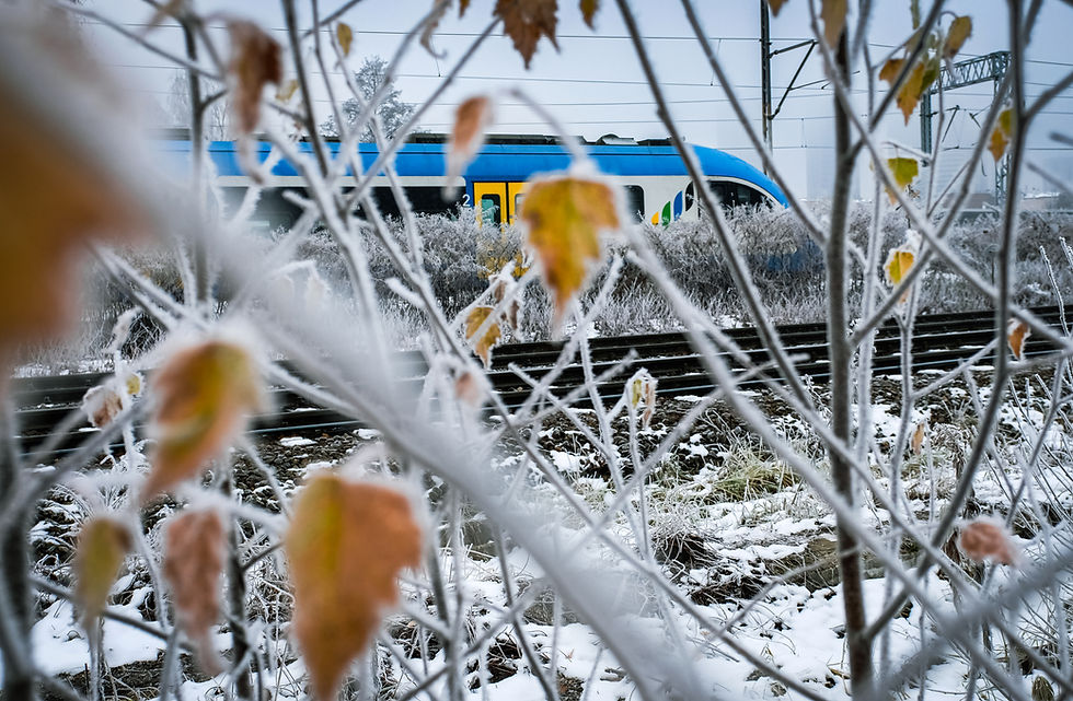 Pociąg Kolei Śląskich w zimowej aurze