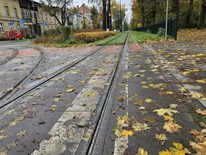 Pojawia się jesienią i stwarza zagrożenie. Co to jest ,,czarna szyna"?