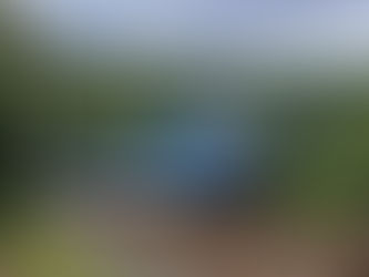 Składy ComfortJet i RegioFox napędziły zysk Czeskich Kolei. Nowe pociągi kluczem do sukcesu?