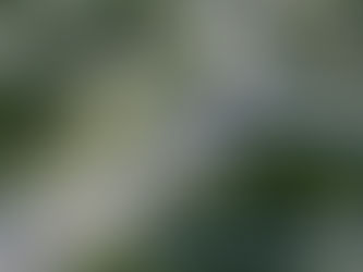 PLK likwidują dwa przejazdy kolejowe. 40 mln zł na bezkolizyjne skrzyżowanie w Tomaszowie Mazowieckim