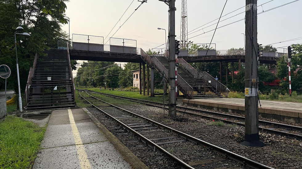 Kładka w Brzegu Dolnym