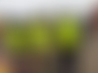 Samotna walizka na dworcu w Żarach zatrzymała pociągi. Ukraińcowi grozi do 8 lat więzienia