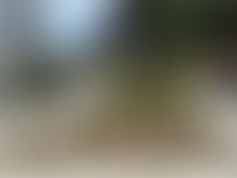 ZGK Brzeg Dolny posadził 400 roślin. Na ulicy Szkolnej