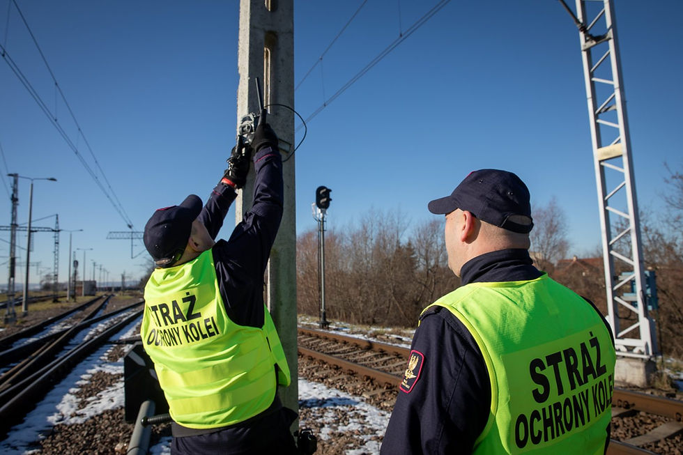 Funkcjonariusze SOK i fotopułapka