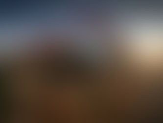 W przetargu POLREGIO na zakup SZT jedna oferta