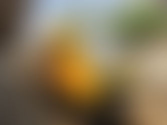 Wojna cenowa na torach? RegioJet rozpoczyna kursy, PKP Intercity odpowiada obniżając ceny