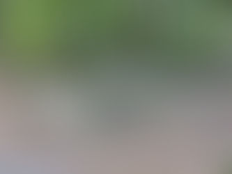 Dolnobrzeskie schrony: Zabytek historii czy element bezpieczeństwa?