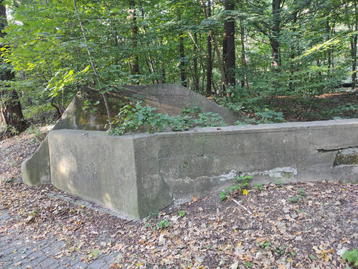 Dolnobrzeskie schrony: Zabytek historii czy element bezpieczeństwa?