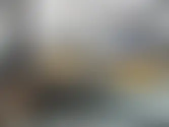 NS z dodatkowymi FLIRT-ami. Będą kursować na holenderskich torach od 2030 roku