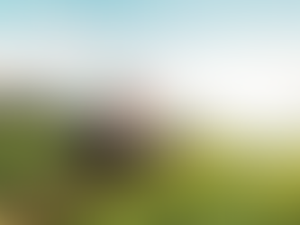 POLREGIO kupi cztery nowoczesne pociągi ELF 3.0 od Pesy. Pojadą w województwie świętokrzyskim