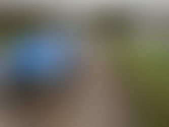 Dolnobrzescy policjanci uratowali życie kobiety, która znalazła się w Odrze