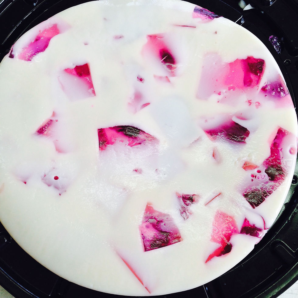 GELATINA DE MOSAICO