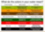 foot-detox-chart colors