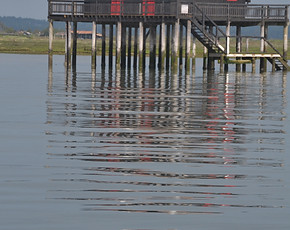les cabanes tchanquées Location & promenades sur le Bassin d'Arcachon