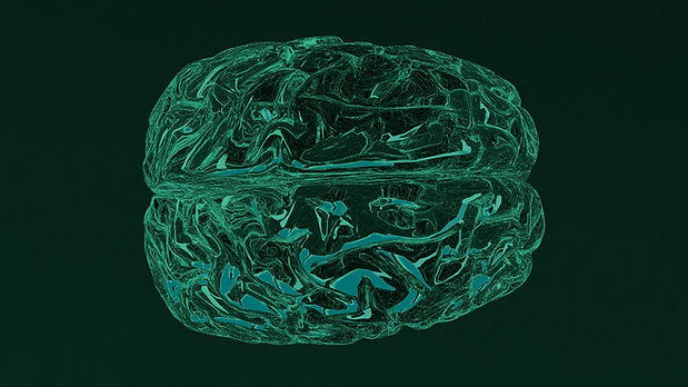 Brain Illustration_edited.jpg