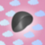 Hard Wig Cap for Chichi BJD Dolls | Secure Fit