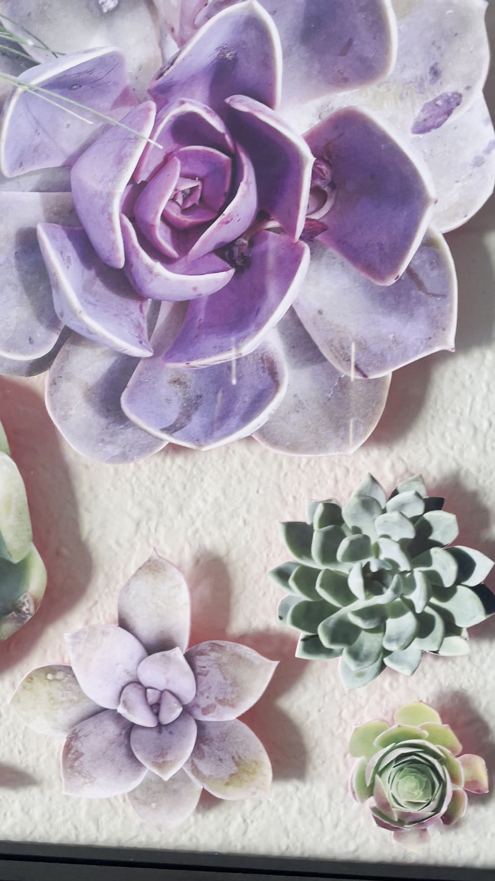 Thumbnail: Lilac