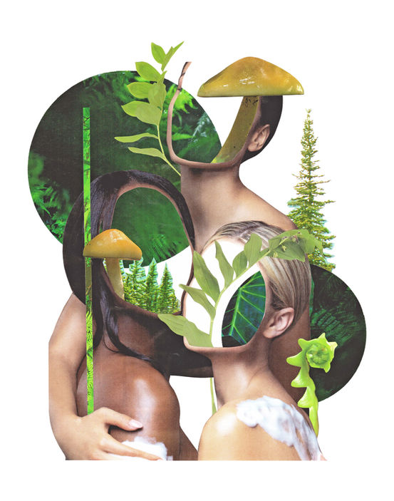 11 x 14 forest sisters.jpg