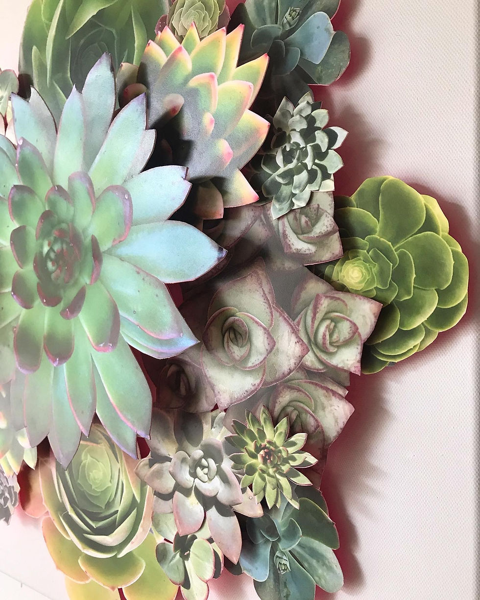 Thumbnail: Succulent Mandala