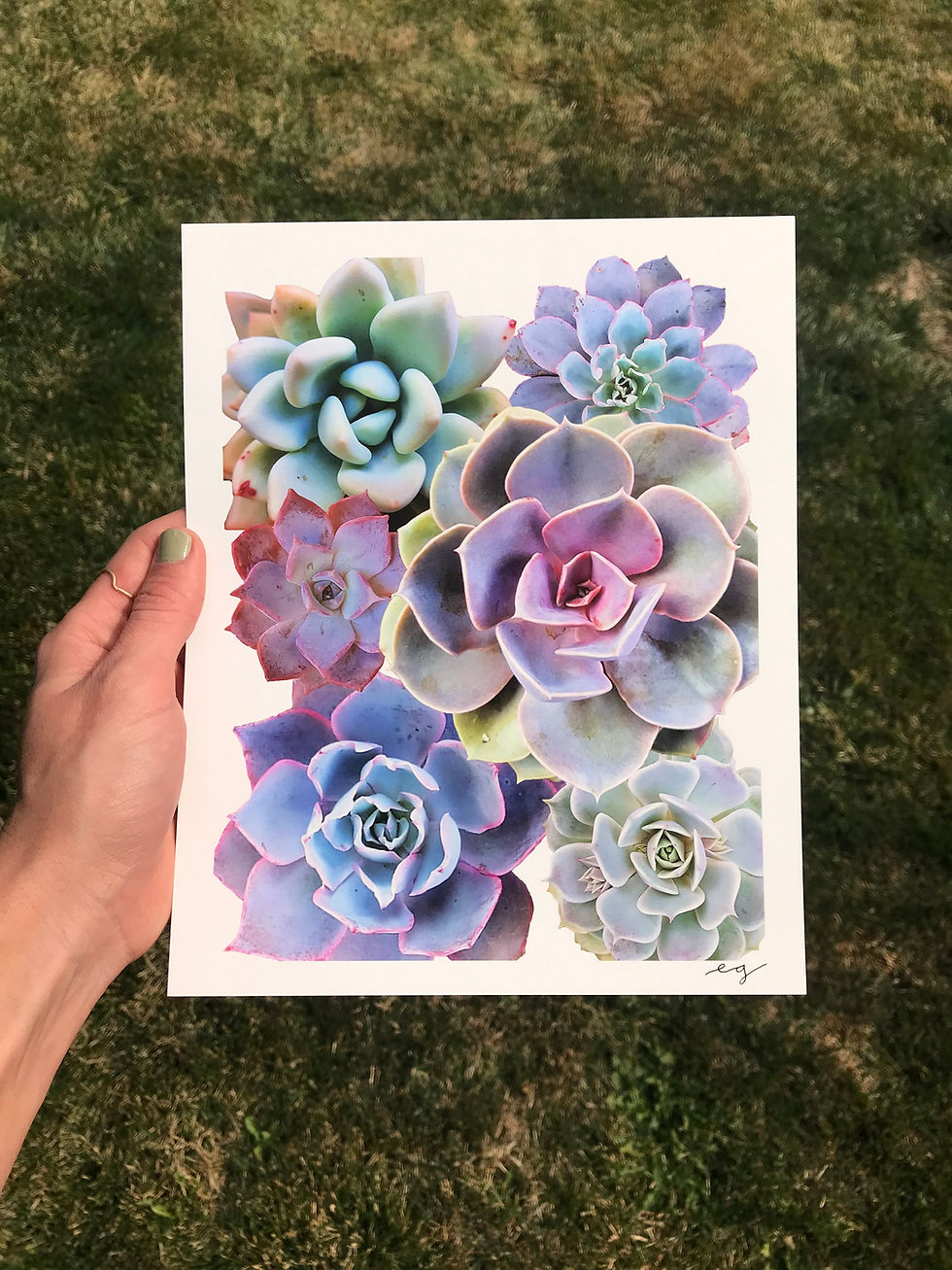 Thumbnail: Blue Succulent Print