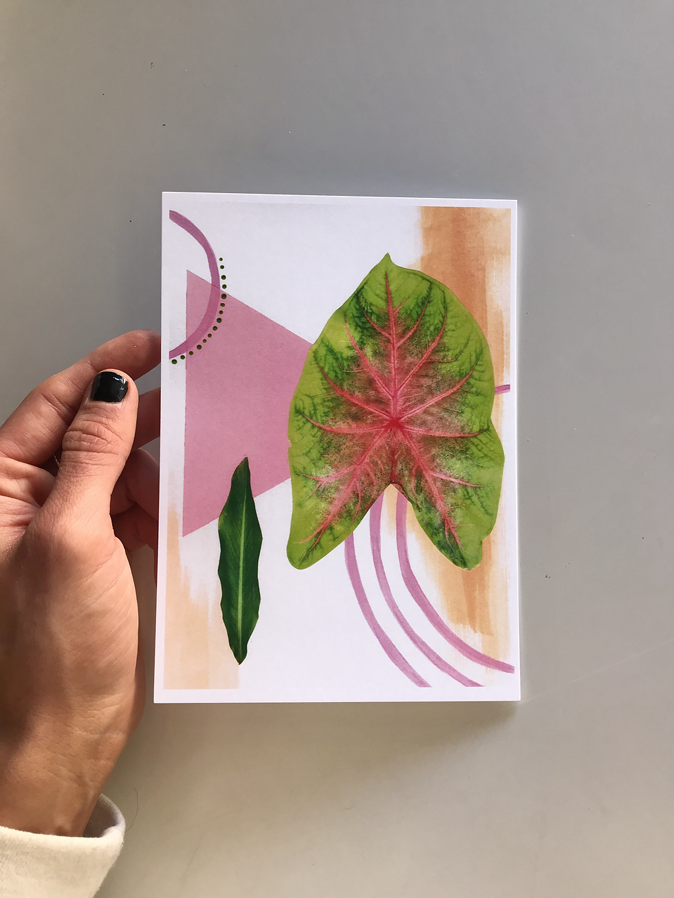 Thumbnail: 6 pack of Plant Postcards