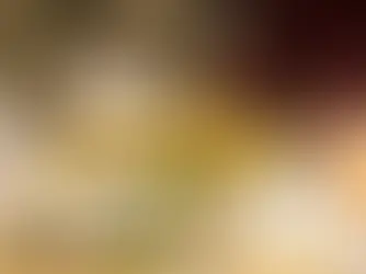 Descubre los secretos culinarios de la ciudad con Gastro Tour