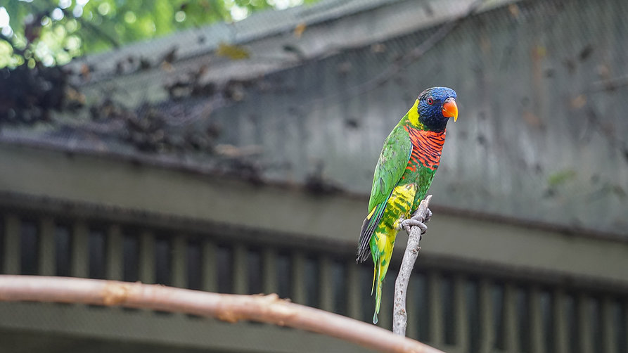 AdobeStock_297934129.jpeg