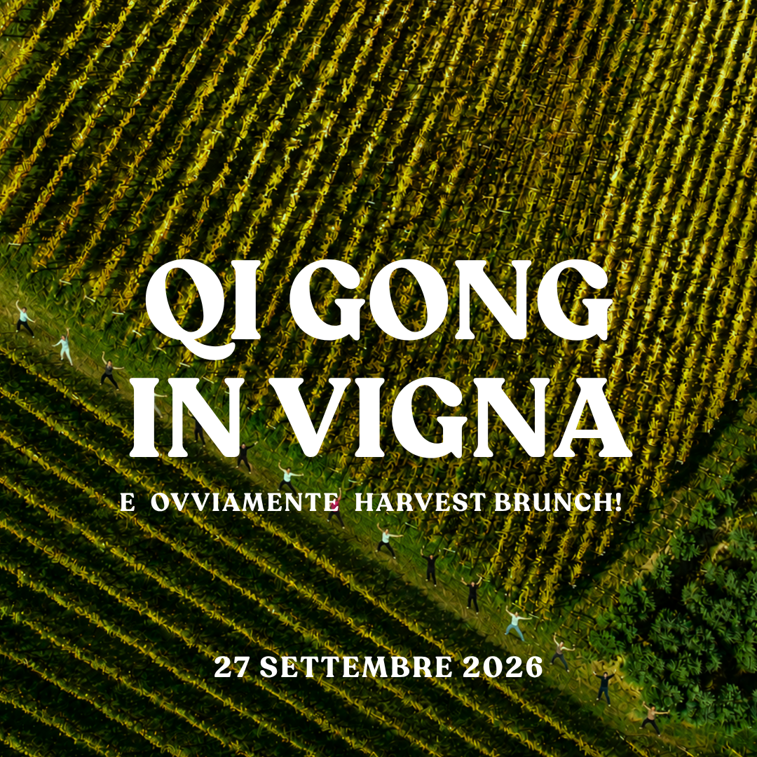 QI GONG IN VIGNA + HARVEST BRUNCH 27 SETTEMBRE