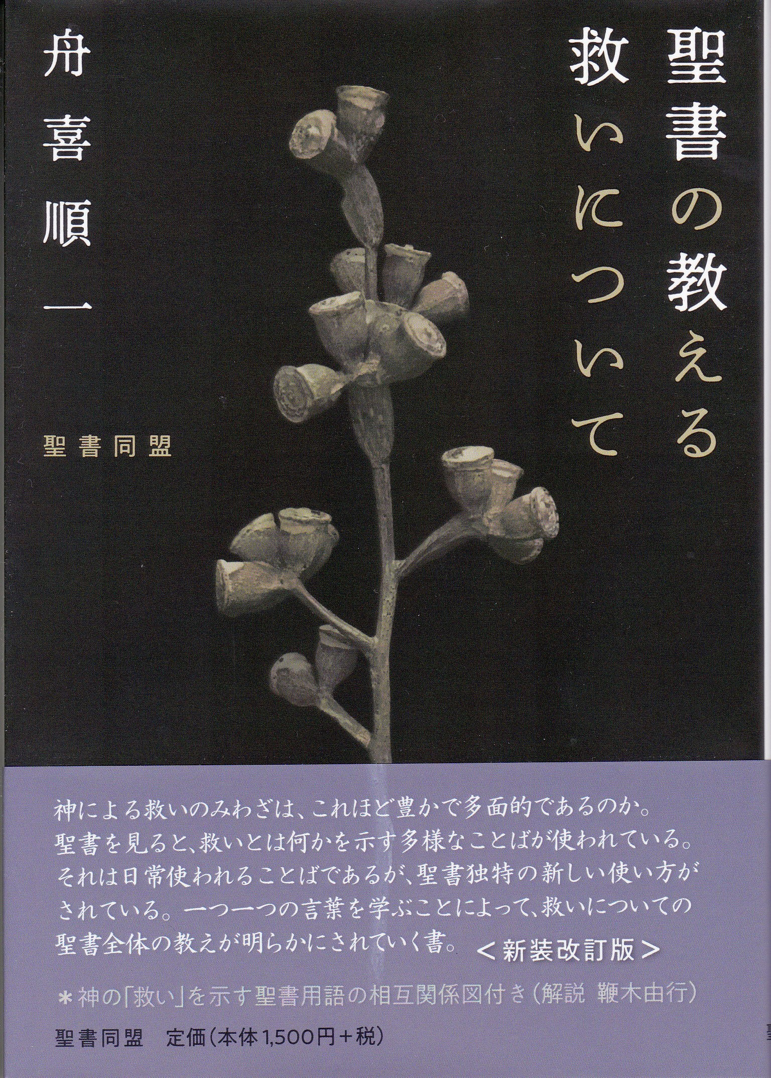 聖書の教える救いについて