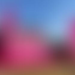 Праздник для телеканала "Домашний"