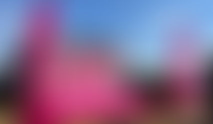 Праздник для телеканала "Домашний"