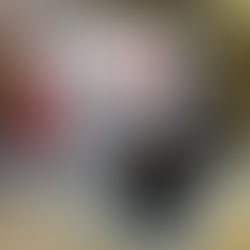 Застройка выставочных стендов