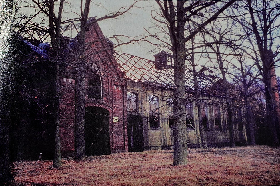 Domein Masy | de paardenstallen in 1950