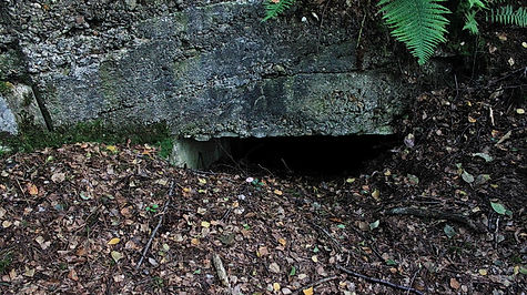 Ruïnes Polygone Cockerill in Houthalen