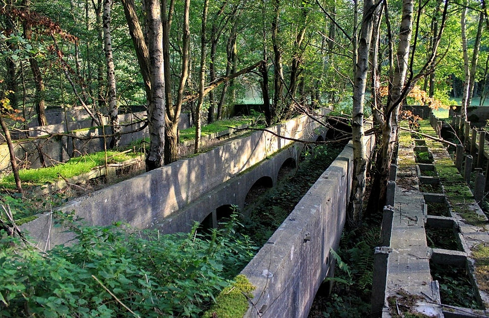 Domein Masy | de vroegere serres