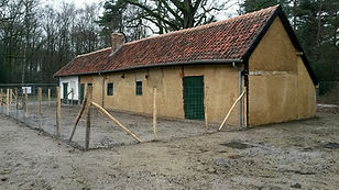 Hoeve Mieneke Houthalen-Helchteren 23 december 2018