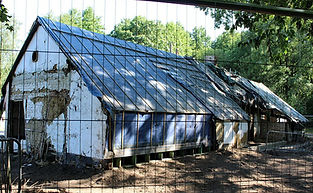 Hoeve Mieneke Houthalen-Helchteren 25 juni 2018
