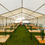 Miniaturbild: Festzelt 6m