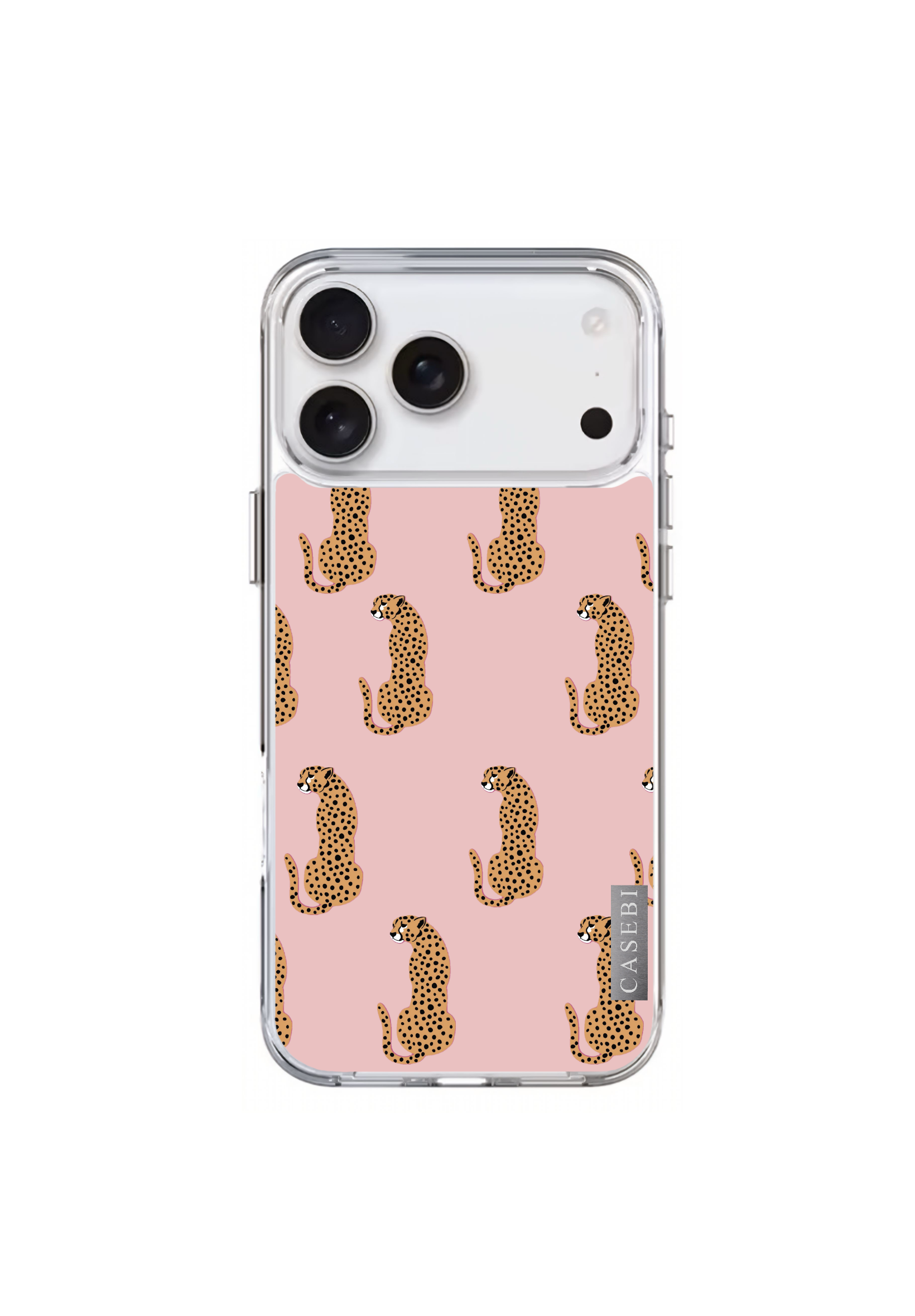 CASE “ZARA”