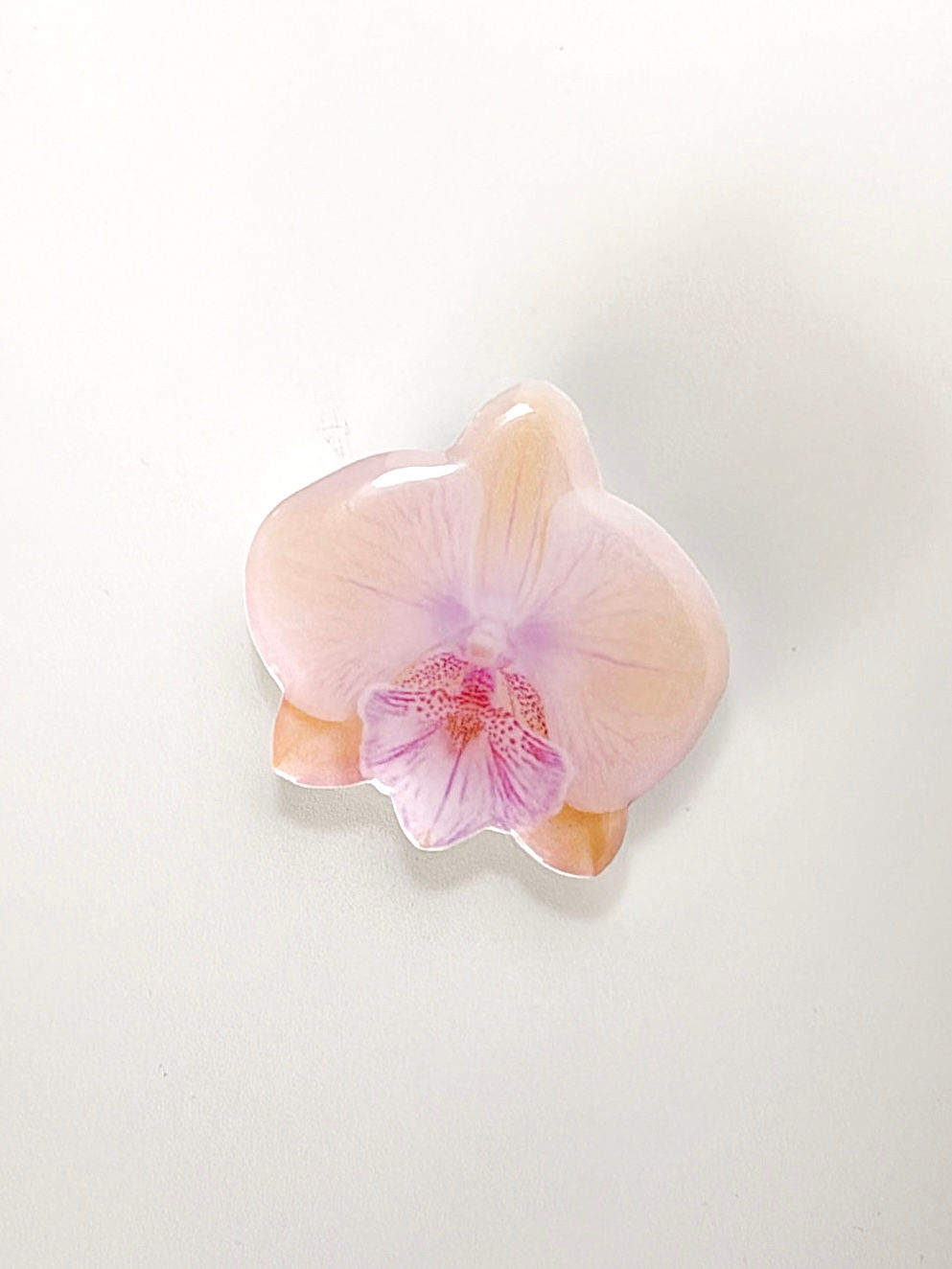 ORANGE ORCHID HOLDER