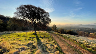 IMG_1558.jpeg