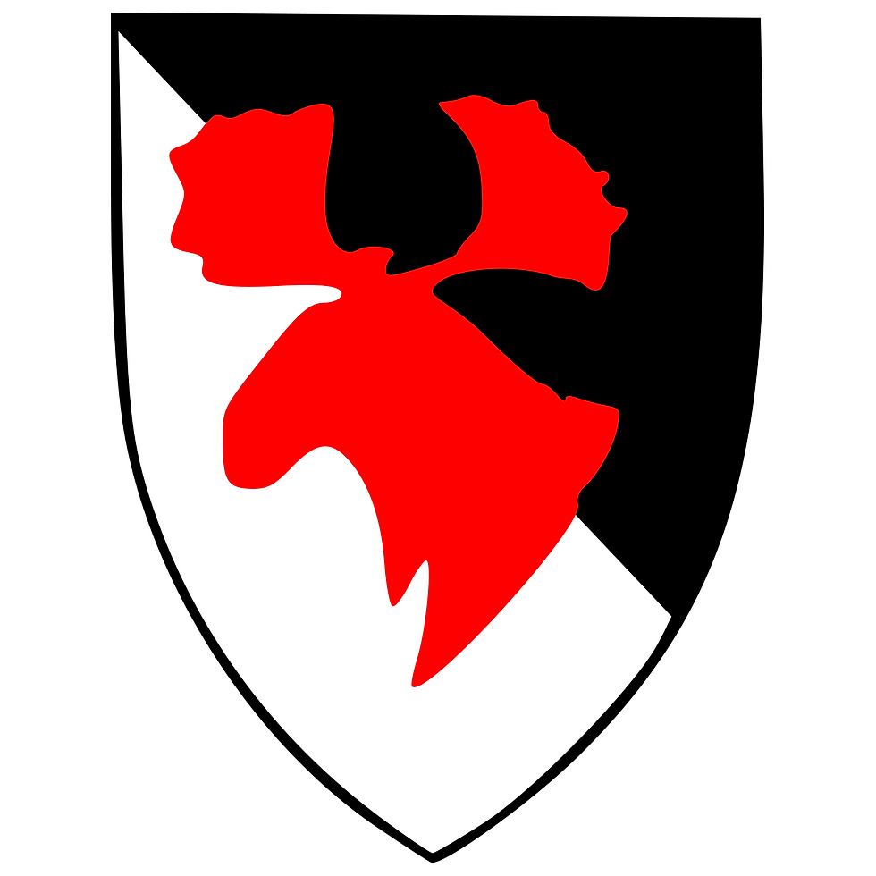 Brasão 11th Infantry Division - 20x25cm