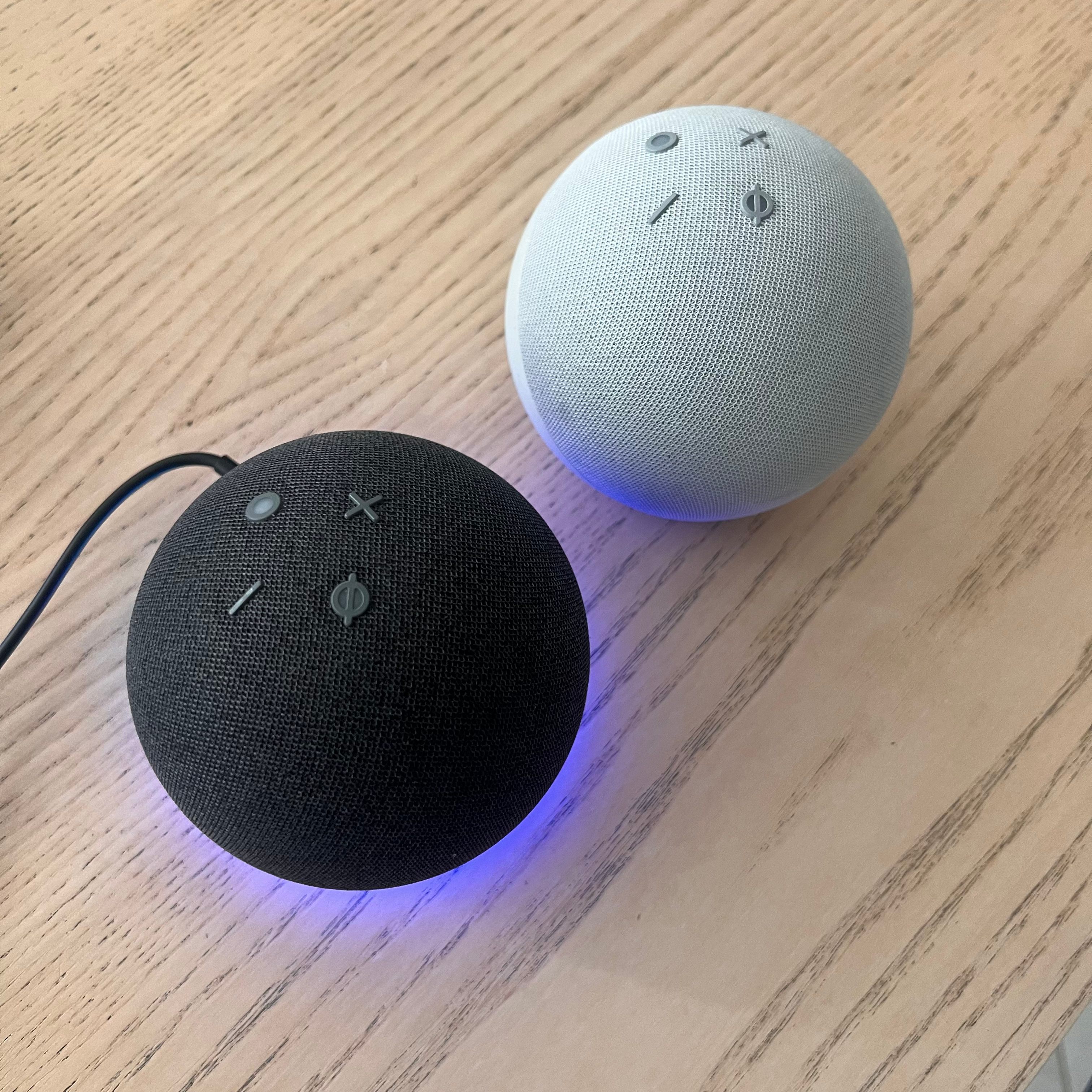 Echo Dot 4th Gen Blanco Gris o negro Usado